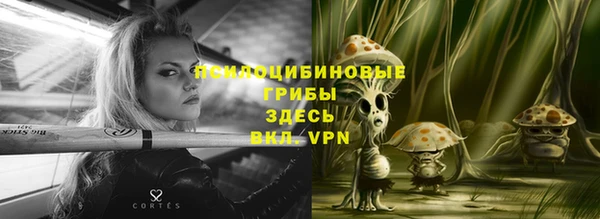ешки Балахна