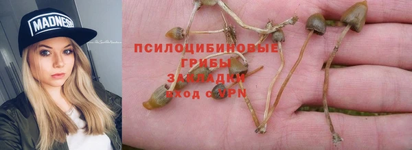 ПСИЛОЦИБИНОВЫЕ ГРИБЫ Балабаново