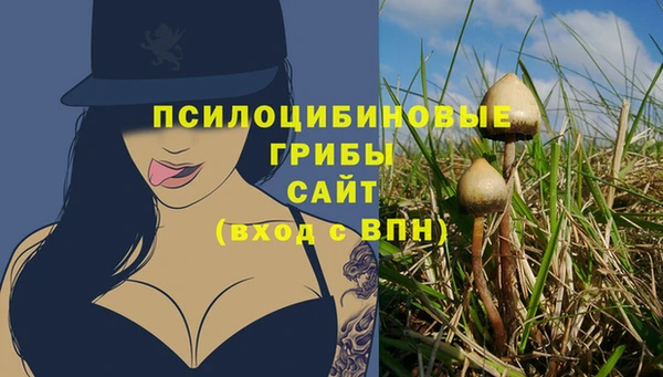 ПСИЛОЦИБИНОВЫЕ ГРИБЫ Балабаново