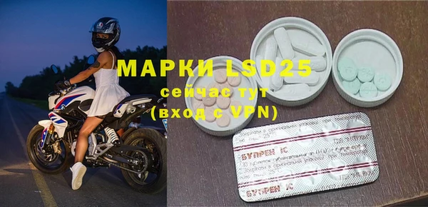 ПСИЛОЦИБИНОВЫЕ ГРИБЫ Балабаново