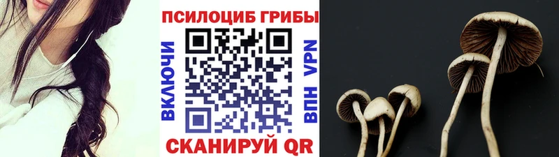 MEGA зеркало  закладка  Унеча  Псилоцибиновые грибы Cubensis 